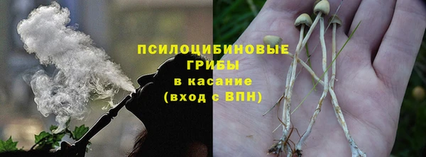 амф Балахна