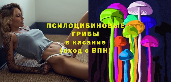 дживик Приозерск
