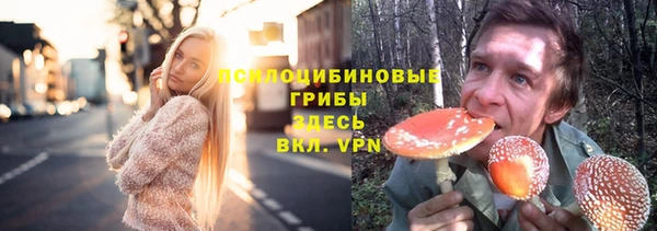 МДМА Протвино