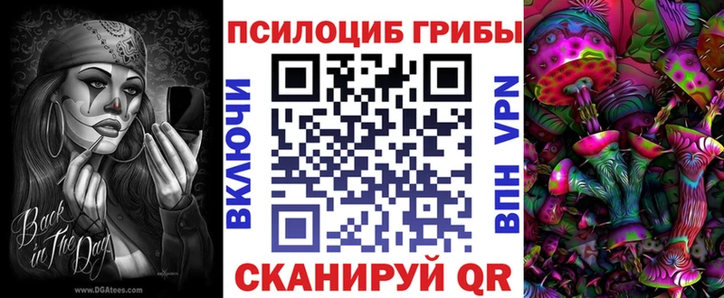 Псилоцибиновые грибы Psilocybine cubensis  Бежецк 